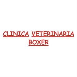 Horario de apertura Clinica Veterinaria Boxer, Viveiro