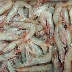 Horario de apertura Pescaderia el bigote, Sanlúcar de Barrameda