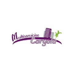 Horario de apertura Multiservicios Caryota, Elche