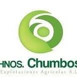 Horario de apertura Explotaciones Agrícolas Hermanos Chumbos, S.L., Pulpí