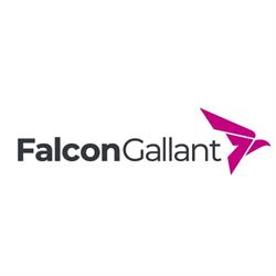 Falcon Gallant SL en Madrid (Salamanca) - Horario de apertura