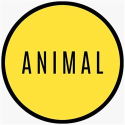 Horario de apertura Animal Brothers Films, Boadilla Del Monte
