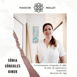 Horario de apertura Fisioimpuls, Mollet del Vallès
