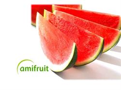 Horario de apertura AMIFRUIT SAL, Alcasser