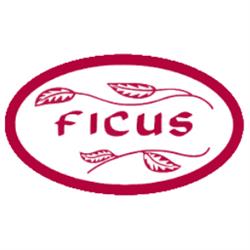 Horario de apertura Floristeria Ficus, Ourense