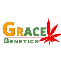 Grace Genetics SL en Barcelona (Eixample) - Horario de apertura