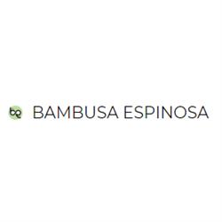 Horario de apertura Bambusa Espinosa, Madrid