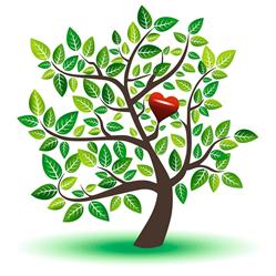 Horario de apertura Árbol de Vida - Centro holístico de psicología Gestalt y Mindfulness, El Puerto de Santa María