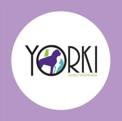 CV YORKI MANISES en Manises (Manises) - Horario de apertura