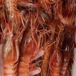 Horario de apertura Pescados y Mariscos Baja Mar, Alcoi