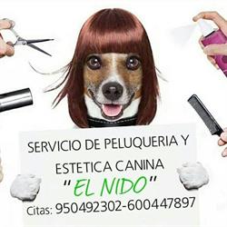 Horario de apertura Pajarería El Nido, Berja