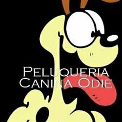 Horario de apertura Peluquería canina odie"", Los Corrales de Buelna