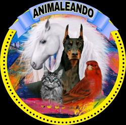 Horario de apertura Animaleando, Carmona