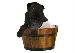 Horario de apertura Pets Clean & Vending, Zaragoza
