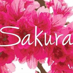 Horario de apertura Sakura Ibiza, Sant Antoni de Portmany