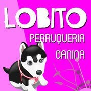 Horario de apertura LOBITO, Roses