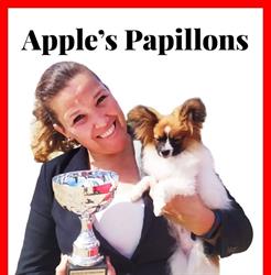 Horario de apertura APPLE's Papillons, Terrassa