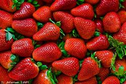 Horario de apertura FRUTAS Y VERDURAS BARBERO SL, Almuñecar