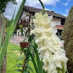 Horario de apertura Restaurante Beko Errota, Hondarribia