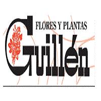 Horario de apertura Floristería Jesús Guillén, Barañain