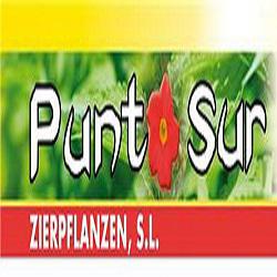 Horario de apertura Punto Sur Zierpflanzen, El Ejido