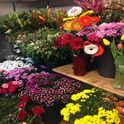 Horario de apertura Taller Flores Primavera, Móstoles
