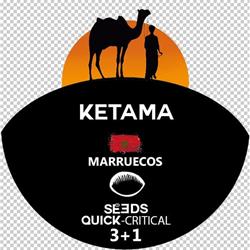 Horario de apertura T.Ketama, La Línea de la Concepción