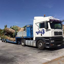 Horario de apertura Transportes Y Gruas El Chato, Elche