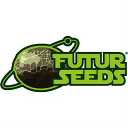 Horario de apertura Futurseeds, Canals
