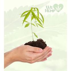 We Love Hemp en Valencia (Ciutat Vella) - Horario de apertura