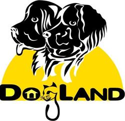 Horario de apertura Dogland Mascotas, S.L., Mejorada del Campo