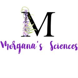 Horario de apertura Morgana's Sciences - Almas de Luz, Lleida