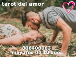 Horario de apertura Tarot Del Amor (Romances En El Alma), San Fernando