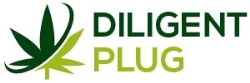 Horario de apertura DILIGENT PLUG, Madrid