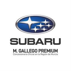Horario de apertura Subaru Murcia – M. Gallego Premium, 