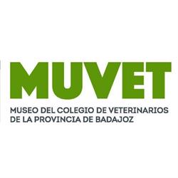 Horario de apertura MUVET, Badajoz