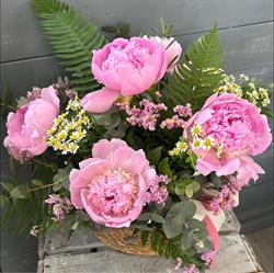 Horario de apertura Floristería en Gijon by Alesandra de Deus, 