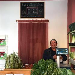 Horario de apertura Frutería "La Plaza", Los Molares