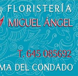 Horario de apertura Floristería Miguel Ángel, La Palma del Condado