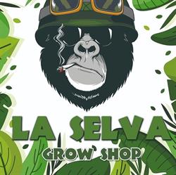 Horario de apertura La selva growshop, El Ejido