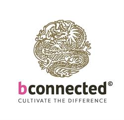 Horario de apertura Bconnected - Real Estate, Project Development & Interior Design., Portals Nous