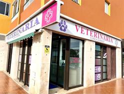 Horario de apertura Clinica Veterinaria Lejarazu, Playa de los Cristianos