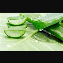 Horario de apertura Consejos de nutrición Valencia, Sueca