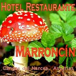 Horario de apertura Hotel Restaurante Marroncin, Cangas del Narcea