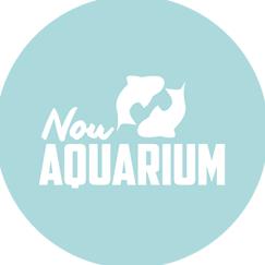 Horario de apertura Nou Aquarium, Roses