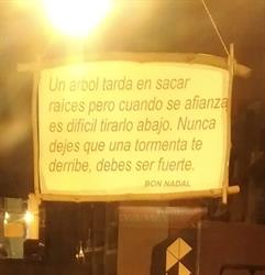 Horario de apertura Herbolari El Món de Silvia, Almassora