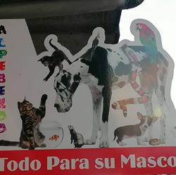 Horario de apertura Alpebezoo, Boiro