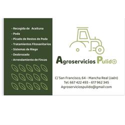 Horario de apertura Agroservicios pulido, Mancha Real