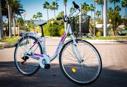 Horario de apertura Linosbike, Campo Internacional