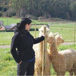 Horario de apertura Alpacas de la Tierruca, Penagos